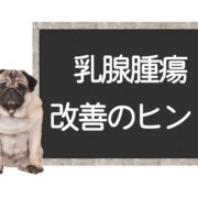 犬の乳腺腫瘍の改善方法