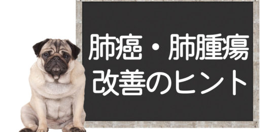 犬の肺癌の改善方法