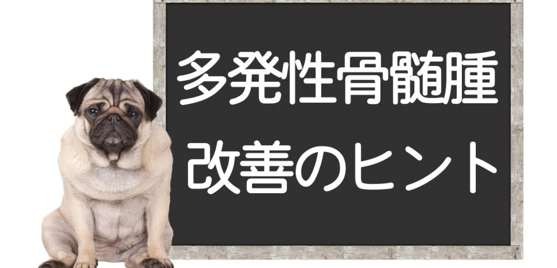 犬の畑津正骨髄腫の改善方法