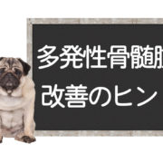 犬の畑津正骨髄腫の改善方法