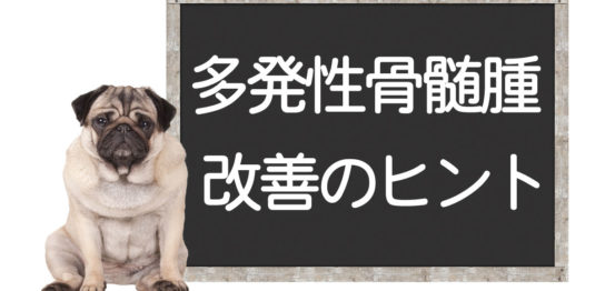 犬の畑津正骨髄腫の改善方法