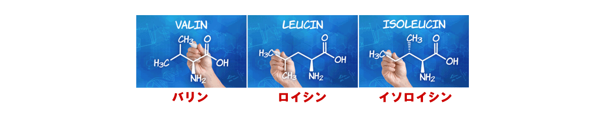 Bổ sung BCAA cho chó mèo bị suy giảm thể lực hoặc có vấn đề về gan và thận.イメージ