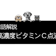 犬や猫の高濃度ビタミンＣ点滴療法