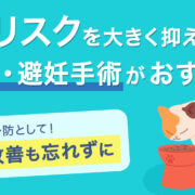 感染リスクを大きく抑えられる！去勢・避妊手術がおすすめ